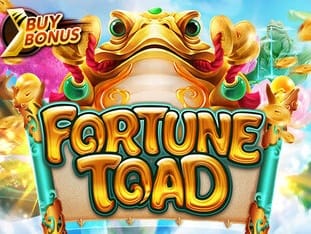 Fortune Toad game cover